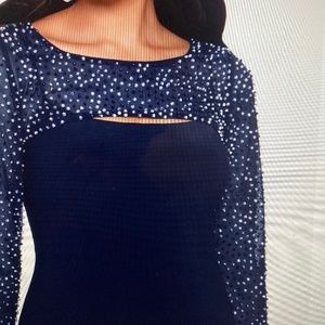 Navy blue and silver gown